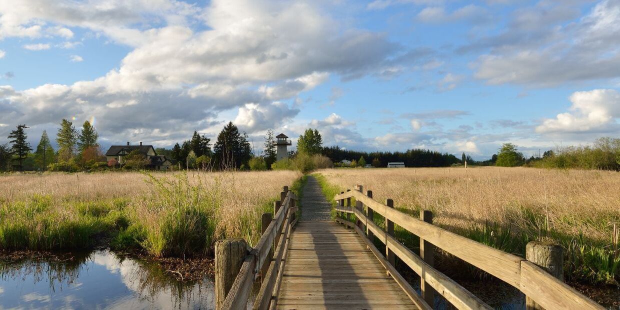 wooden bridge over water leading to a field